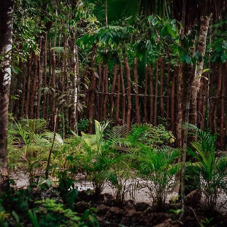 Hotel Lunita Jungle Experience Puerto Morelos Zewnętrze zdjęcie
