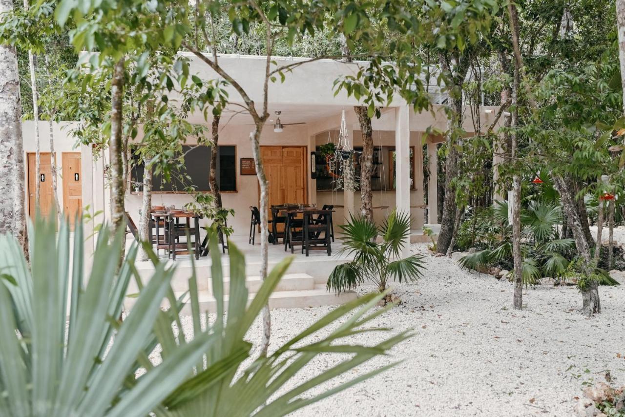 Hotel Lunita Jungle Experience Puerto Morelos Zewnętrze zdjęcie