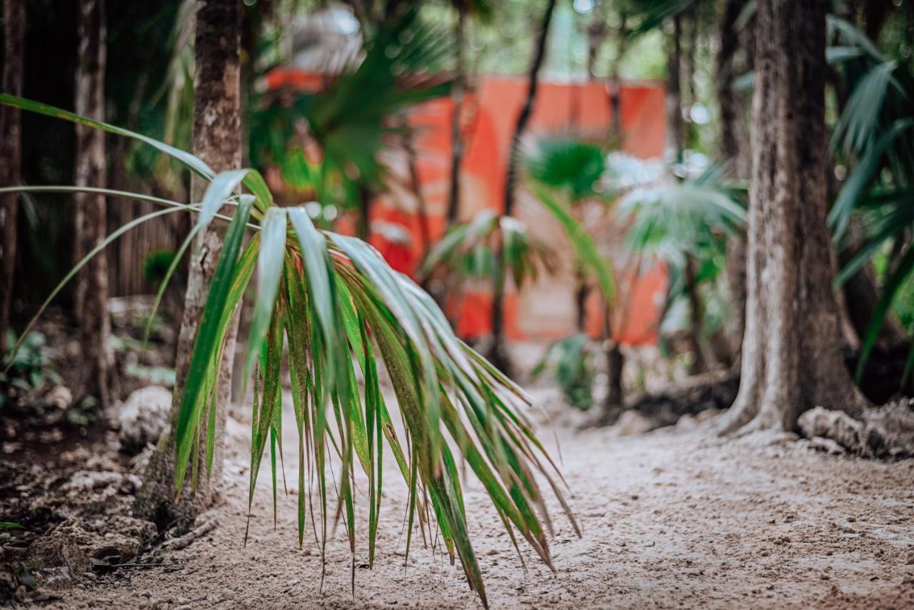 Hotel Lunita Jungle Experience Puerto Morelos Zewnętrze zdjęcie