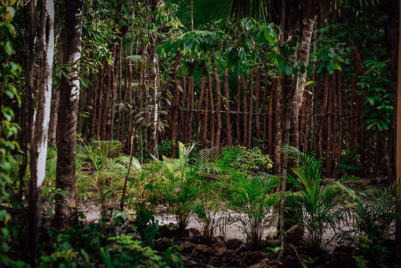 Hotel Lunita Jungle Experience Puerto Morelos Zewnętrze zdjęcie