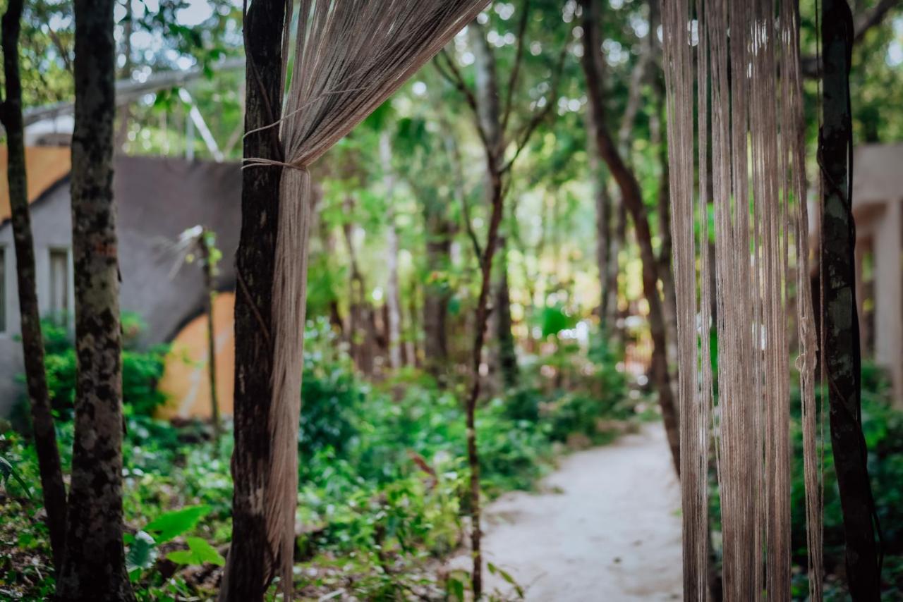 Hotel Lunita Jungle Experience Puerto Morelos Zewnętrze zdjęcie