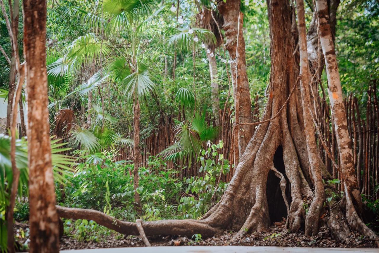 Hotel Lunita Jungle Experience Puerto Morelos Zewnętrze zdjęcie